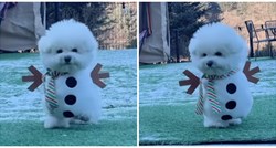 Presladak video psa odjevenog u kostim snjegovića oduševio ljude: "Divan je"