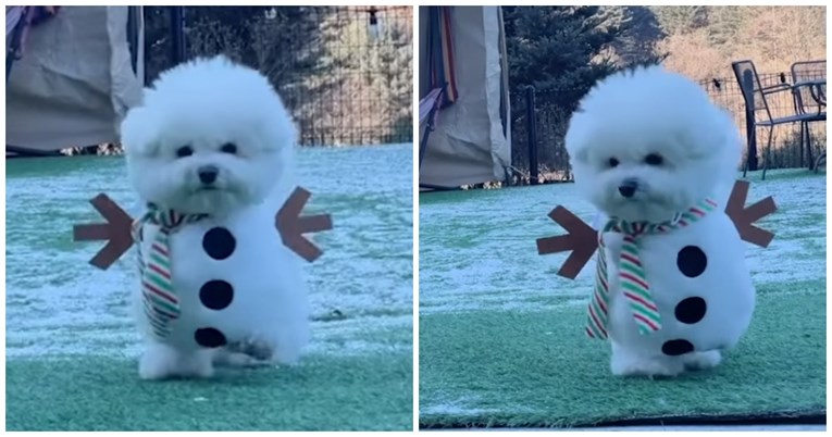 Presladak video psa odjevenog u kostim snjegovića oduševio ljude: "Divan je"