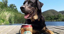 Na tržištu se pojavilo pivo za pse s različitim okusima, smiju ga piti i ljudi