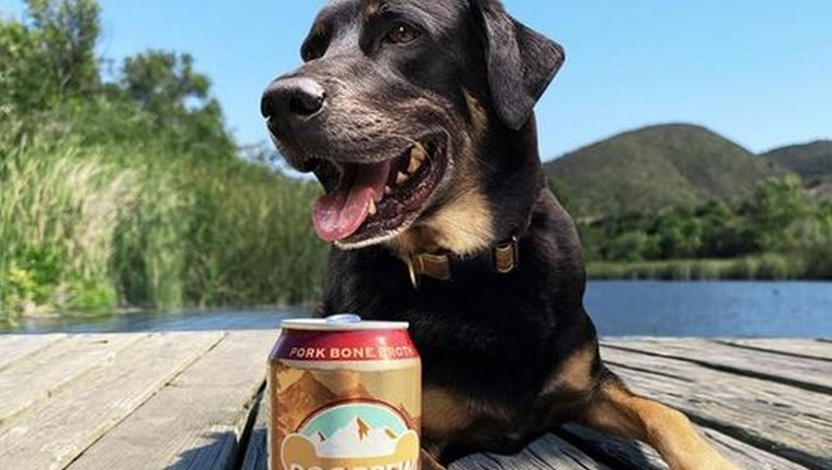 Na tržištu se pojavilo pivo za pse s različitim okusima, smiju ga piti i ljudi