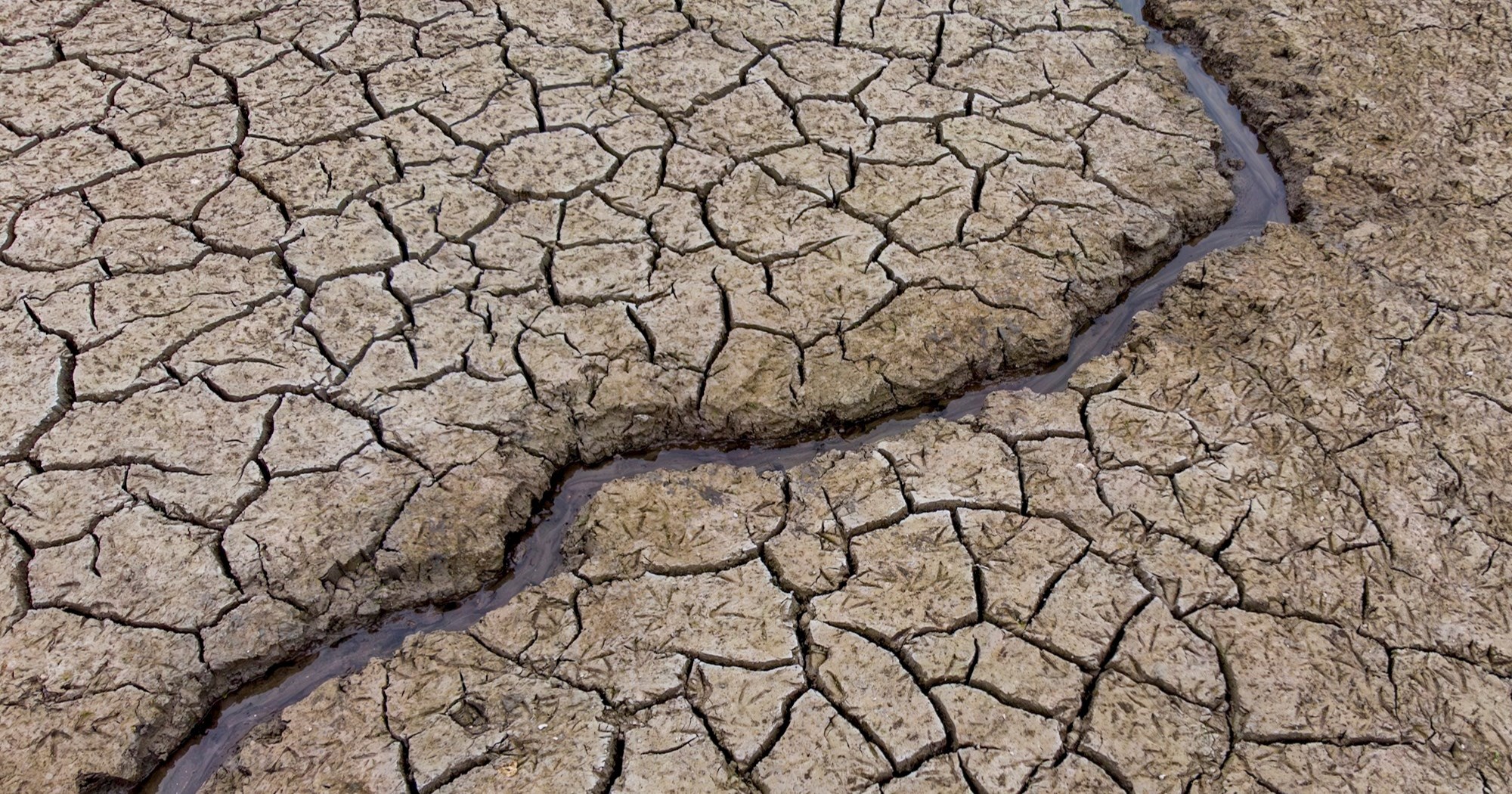 Europski poljoprivrednici na mukama zbog najsušnijeg proljeća u posljednjem stoljeću