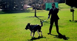 Nestašni pas Bidenovih ponovno napušta Bijelu kuću