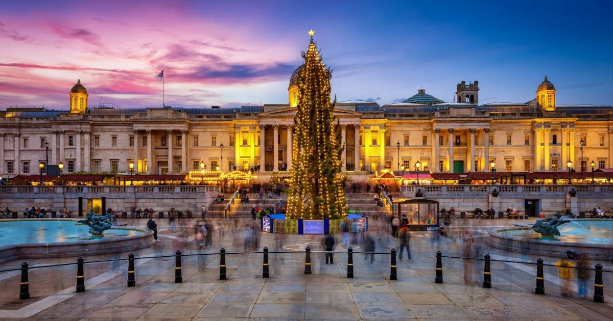 "Kao depresivni kaktus": Svi se rugaju boru u Londonu, a malo tko zna priču iza njega