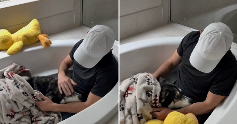 Haski se sakrio u kadu zbog grmljavine, vlasnik mu donio dekicu i umirio ga