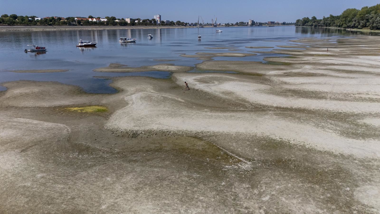Dunav kod Vukovara pao na minus 60 cm, brodovi stoje nasukani