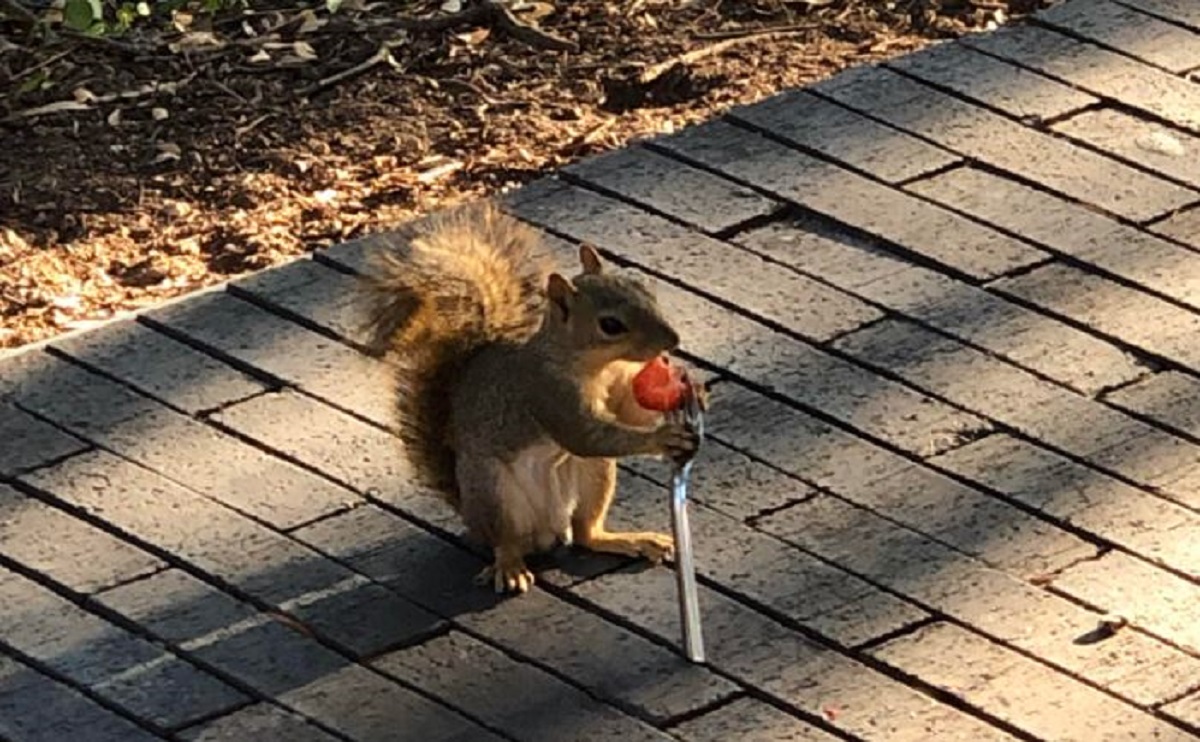 FOTO Ljudi podijelili najbolje fotke koje su ikad snimili, neke su stvarno vrh