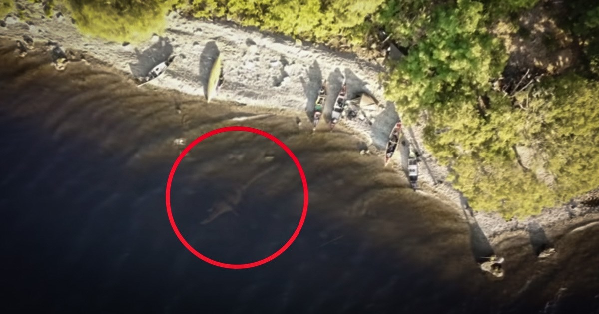 Kruži nova snimka "čudovišta iz Loch Nessa". Izgleda da je na snimci igračka