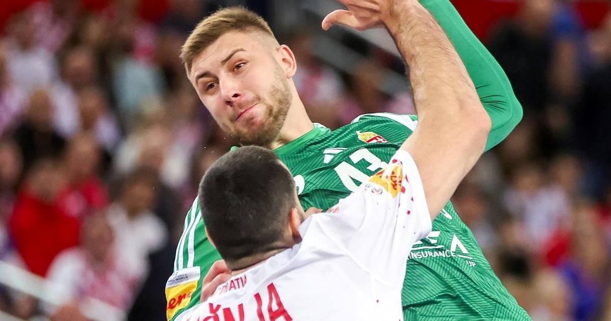 Srbin koji igra za Mađarsku: Fizioterapeuti su sinoć imali pune ruke posla