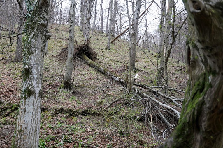 Proglašena prirodna nepogoda za Žumberak