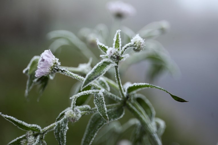 Noćas i ujutro temperature će biti ispod nule, srijeda će biti još hladnija