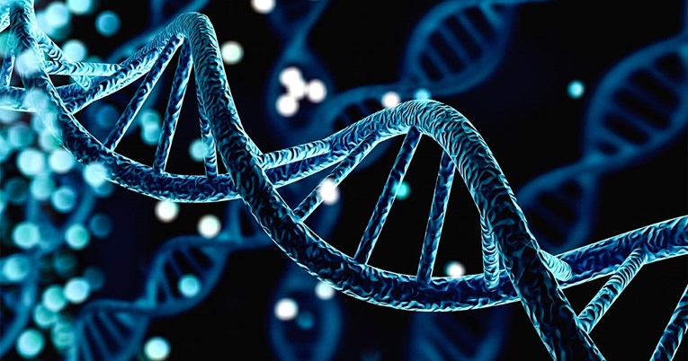 Otkriven gen važan za dug život. Starost će se moći liječiti?