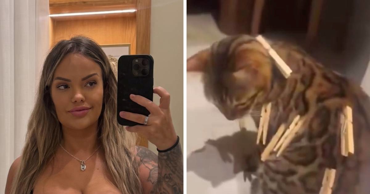 Influencerica objavila video u kojem mački stavlja štipaljke, ljudi zgroženi