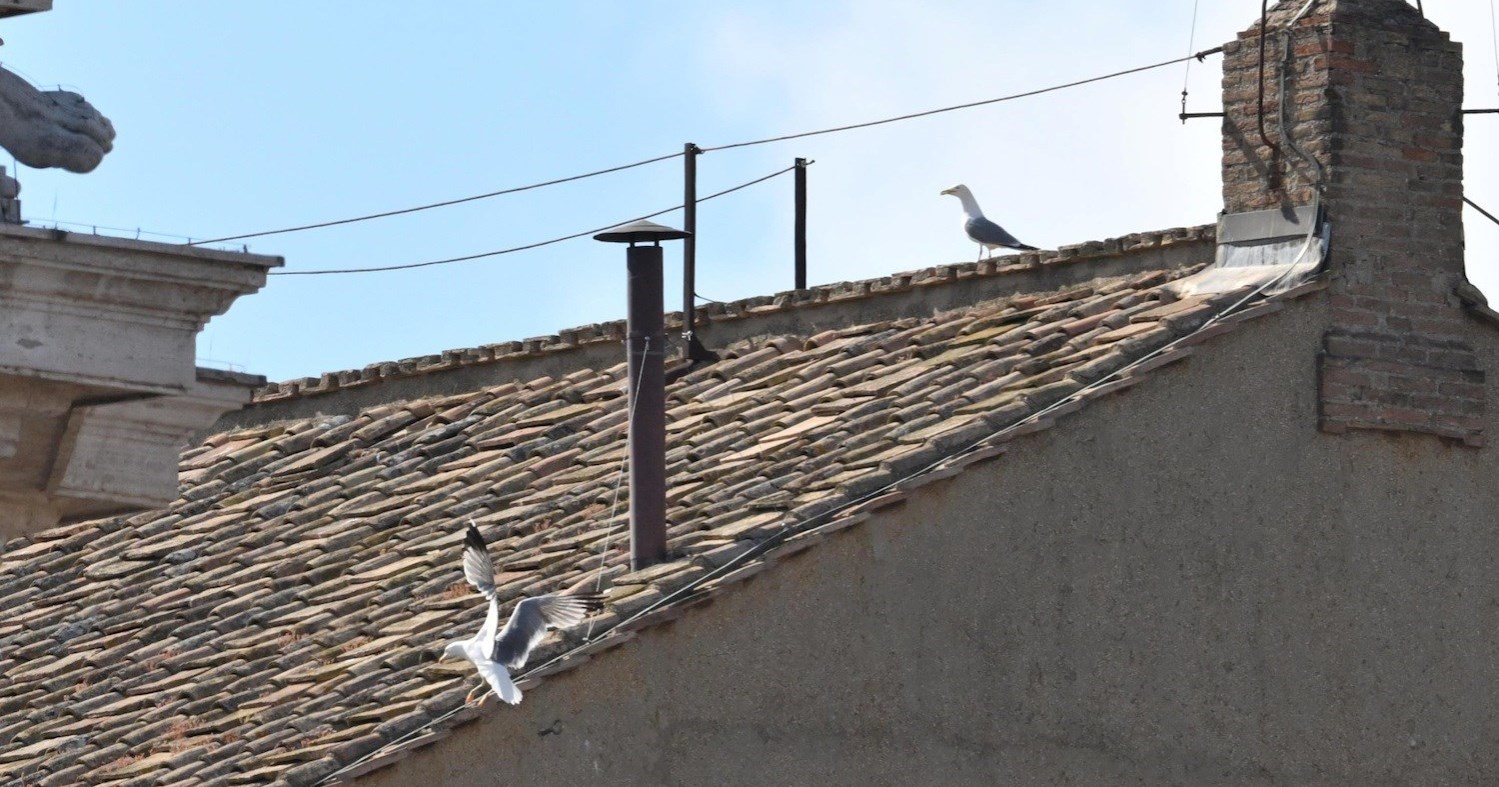 I dalje bolje od HRT-a. Milijuni diljem svijeta uživo gledali - dimnjak