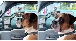 8 milijuna pregleda: Bokser ignorirao psa u susjednom autu, snimka je hit