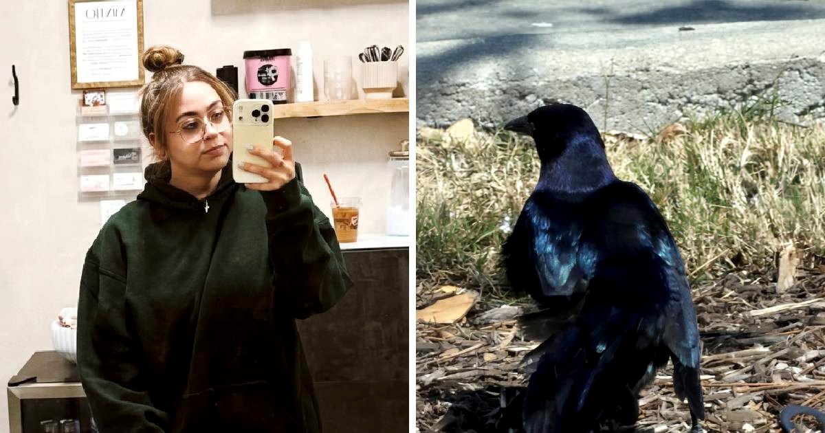 Frizerka dobila poruku od klijentice, nitko nije bio spreman za fotku inspiracije