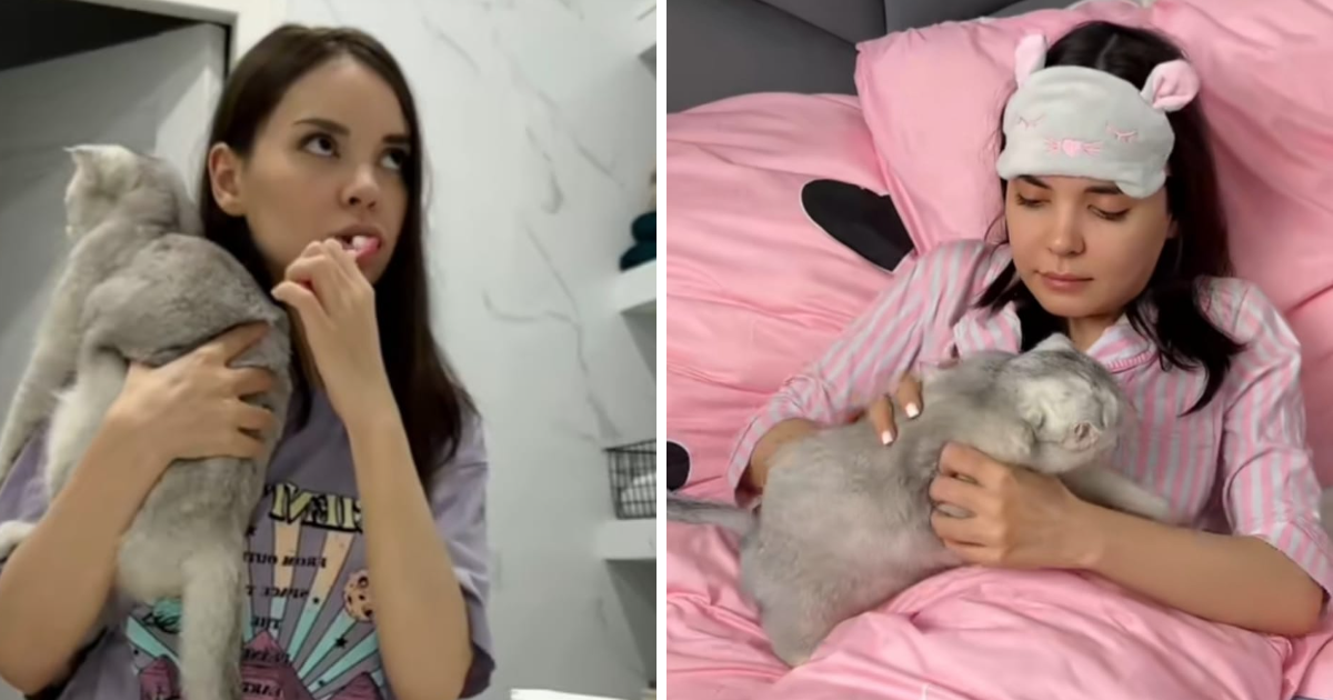 Pokazala kako se maca ne odvaja od nje. Ljudi se šale: "Uvijek je na tvojoj strani"