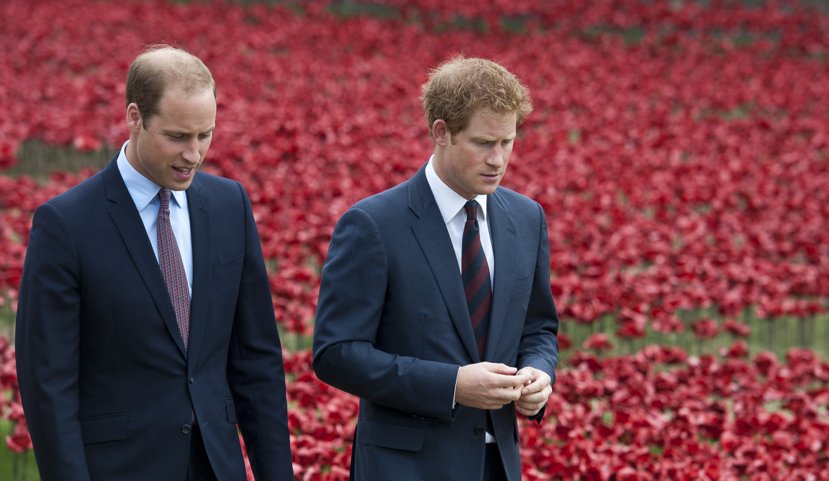 Nakon priča o svađi Harry i William se oglasili i otkrili istinu o svom odnosu