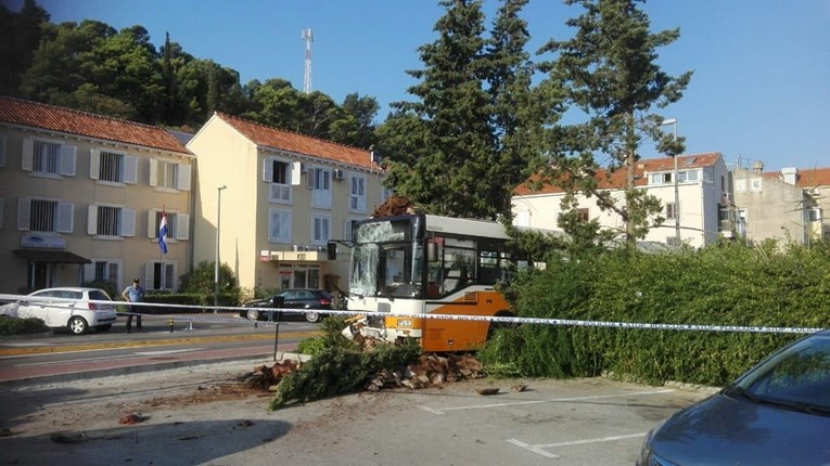 FOTO U Dubrovniku ukrali autobus, slupali se i pobjegli: "Bili su goli do pasa"