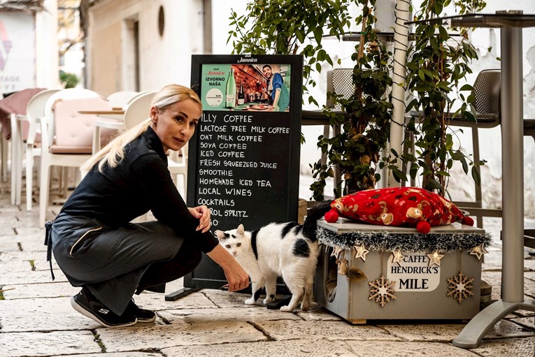 Šibenčani svojim gradskim macama grade kućice. Mile već spava u svojoj