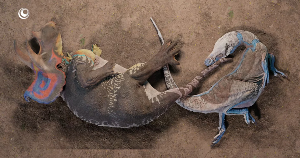 Nanotyrannus je zasebna vrsta, nije mladi T. rex