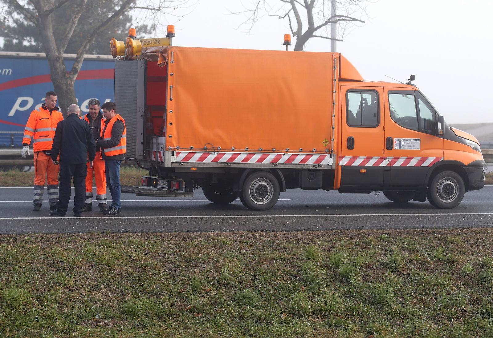 HAK upozorava: Na zagrebačkoj obilaznici srna, na autocesti A1 lisica