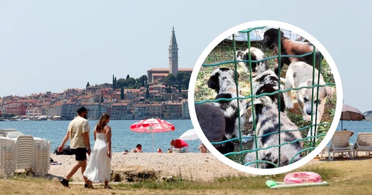 Rovinj više nema sklonište za napuštene životinje. Volonteri traže pomoć