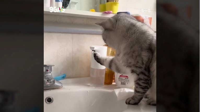 Maca otkrila sapun za ruke koji radi na senzor pa ostala u čudu