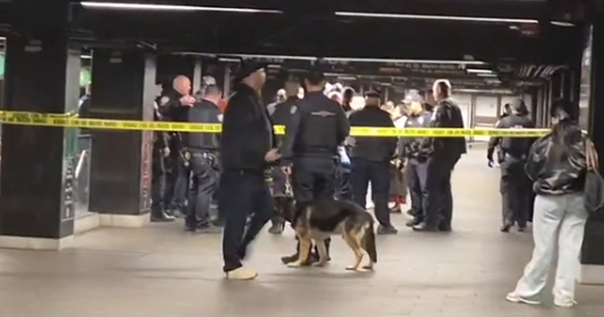 Mačetom napao ljude u podzemnoj u New Yorku. Policija ga ubila