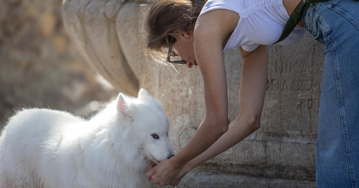 Umorile ga vrućine: Žedan pas u Dubrovniku pio vodu iz ruku svoje vlasnice