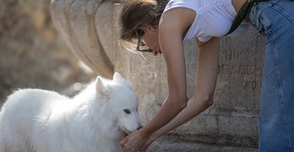 Umorile ga vrućine: Žedan pas u Dubrovniku pio vodu iz ruku svoje vlasnice