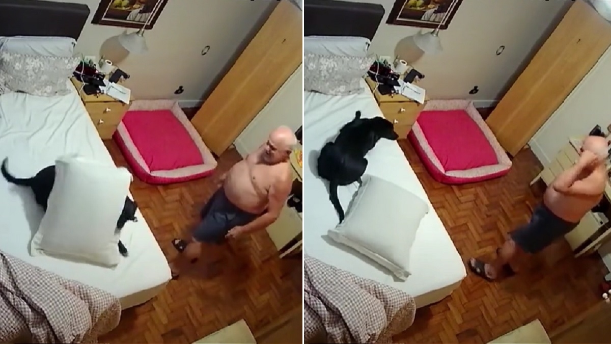 Kamera snimila što muškarac i njegov pas rade svake večeri prije spavanja
