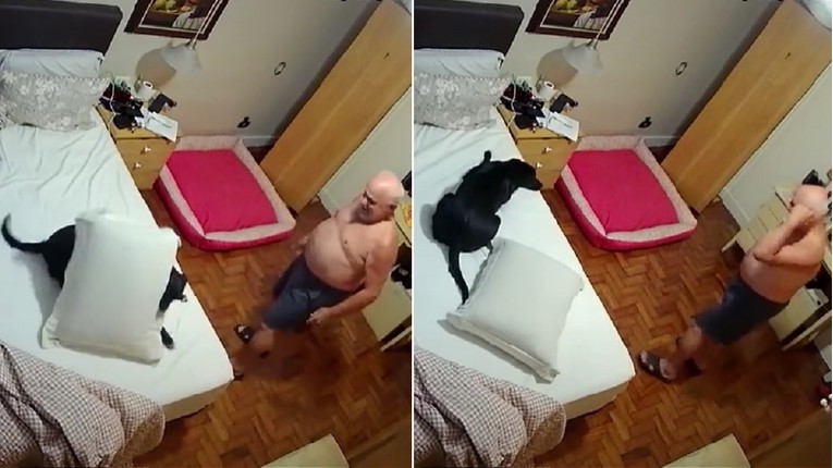 Kamera snimila što muškarac i njegov pas rade svake večeri prije spavanja
