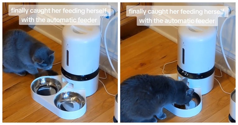 4.2 milijuna pregleda: Ova mačka je sama naučila koristiti automatsku hranilicu