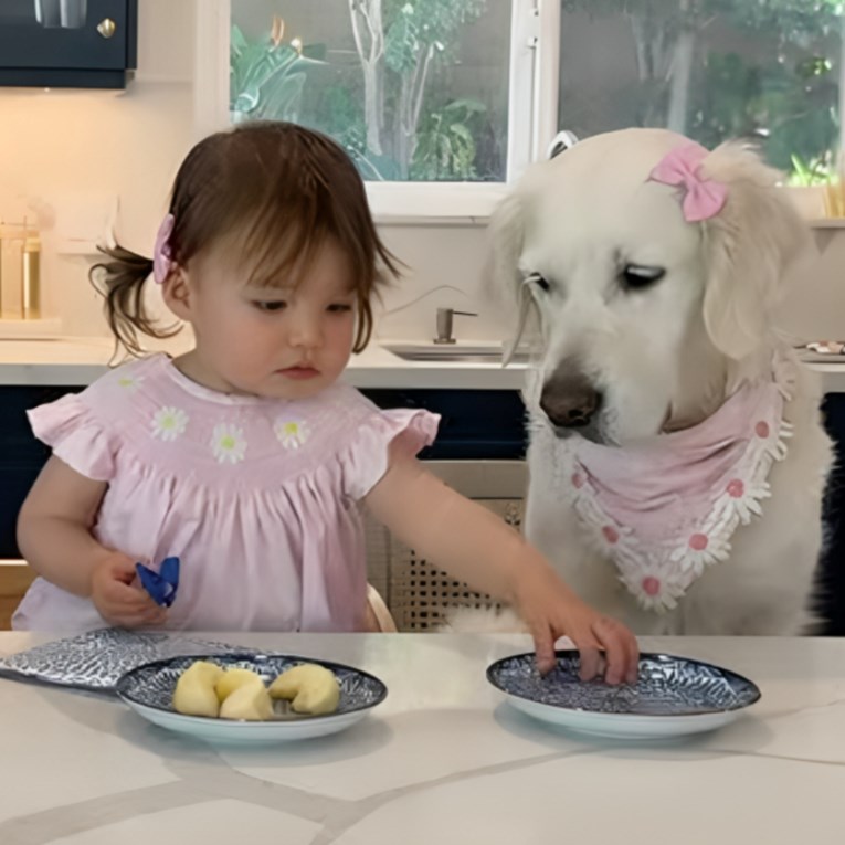 Djevojčica bez oklijevanja podijelila jabuku sa psom