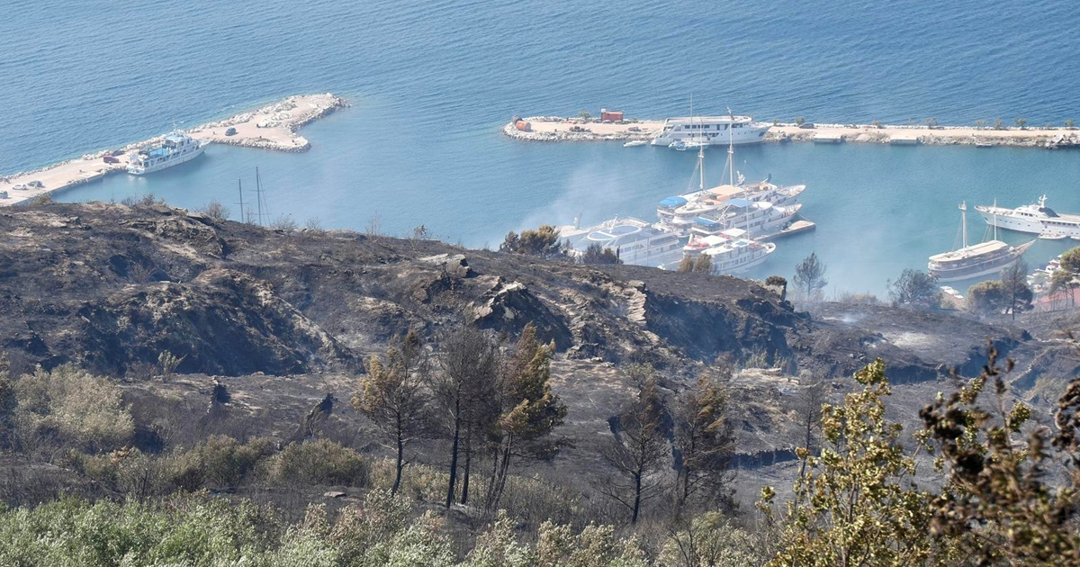 FOTO I VIDEO Satima trajala borba s buktinjom kod Jesenica. Vatra prijetila kućama