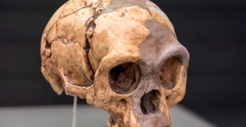 Kako je otkriće kostiju "Hobita" promijenilo naš pogled na ljudsku evoluciju