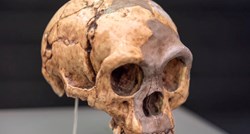 Kako je otkriće kostiju "Hobita" promijenilo naš pogled na ljudsku evoluciju