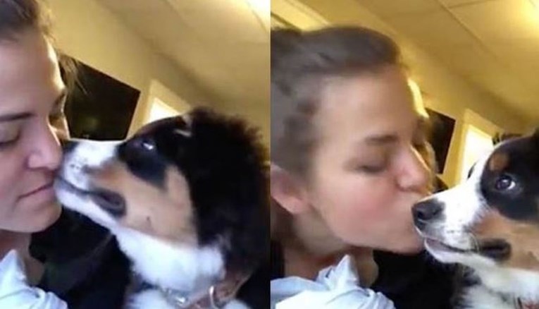 Poljubila je svog psa ispred kamere, njegova reakcija raznježila je internet