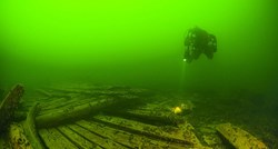 U olupini broda u Baltičkom moru pronađeni dobro očuvani začini stari 500 godina