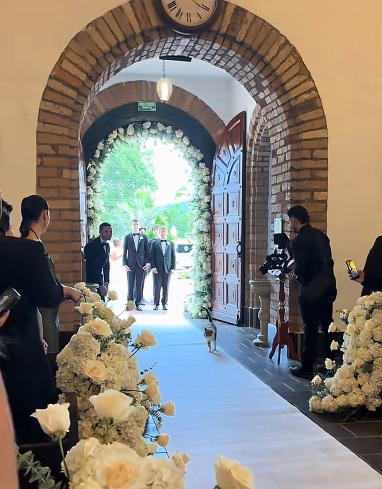 Mladenka samo što nije krenula prema oltaru. Pogledajte tko ju je preduhitrio