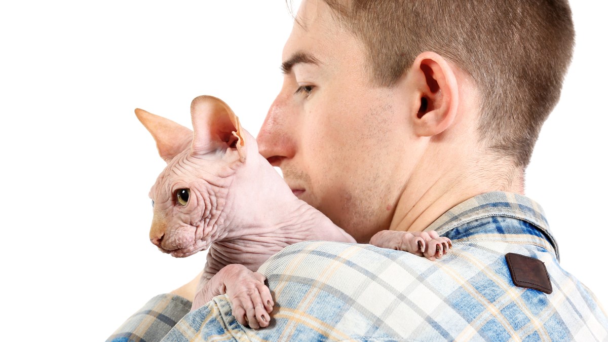 Bezdlake mačke obožavaju bradu! Pogledajte kako reagiraju na maženje