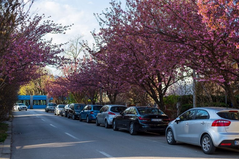 FOTO Ovo su trenutno dvije najljepše ulice u Zagrebu