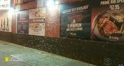 VIDEO Las Vegas napali skakavci, ljudi spominju horor i apokalipsu