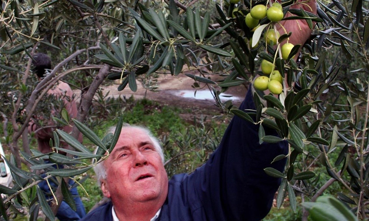 Hvarski biskup objavio ogromno pismo o svećenicima pedofilima s Hvara