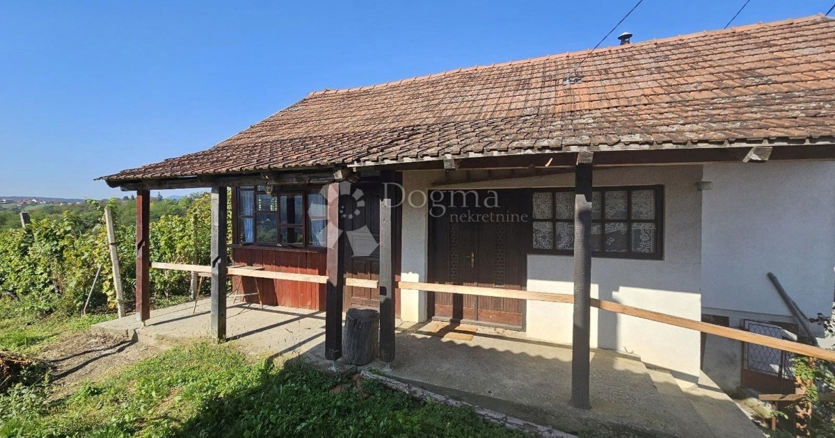 Pronađite svoju idealnu nekretninu: Kuća s vinogradima po cijeni od 30.000 €