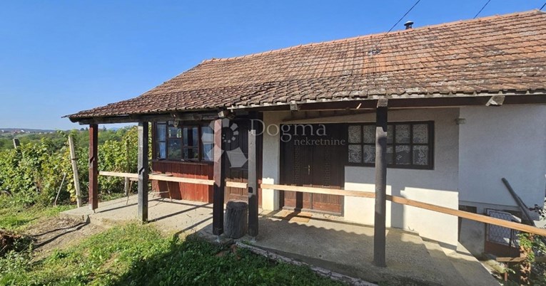 Pronađite svoju idealnu nekretninu: Kuća s vinogradima po cijeni od 30.000 €