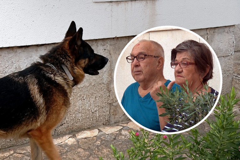 Par iz Zadra štrajka glađu zbog susjedova psa: "Ne možemo spavati zbog laveža"