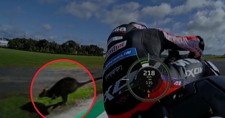 VIDEO Neobična životinja velikom brzinom pretrčala stazu na treningu Moto GP-a