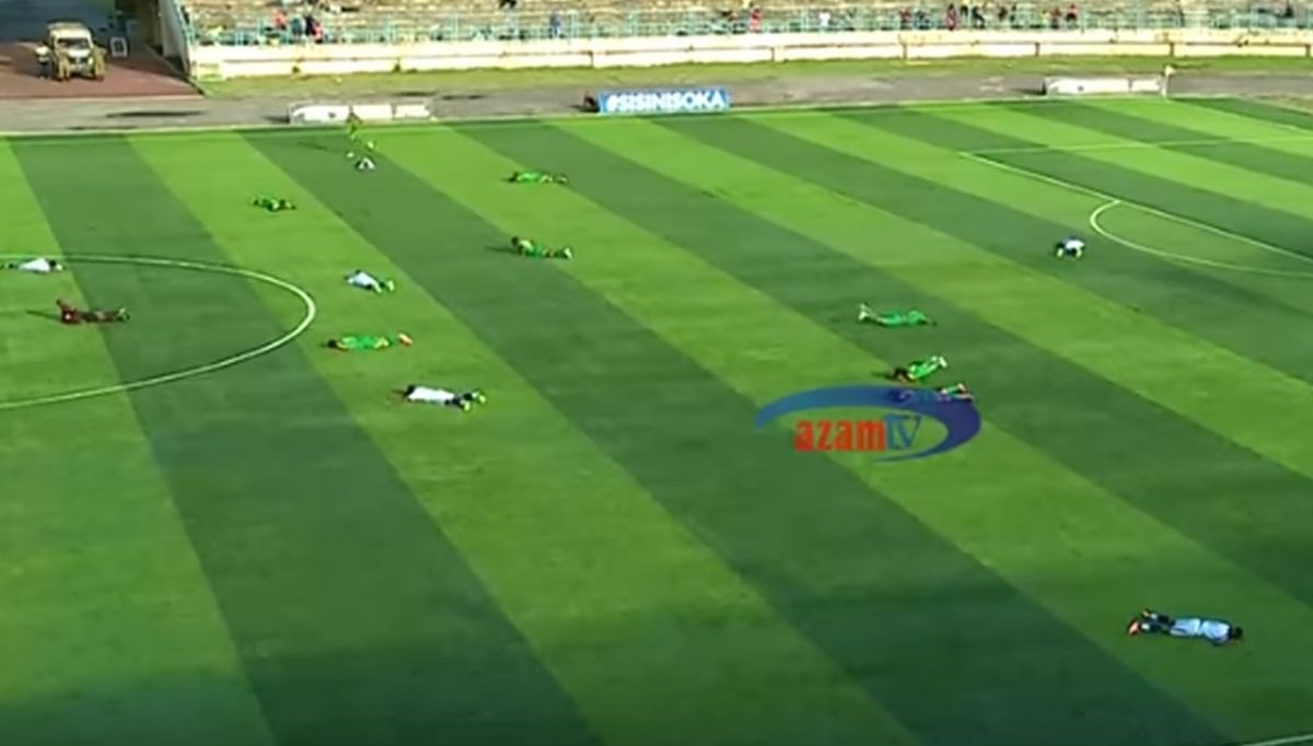 Pčele prekinule utakmicu u Tanzaniji. Igrači ležali na terenu, navijači bježali