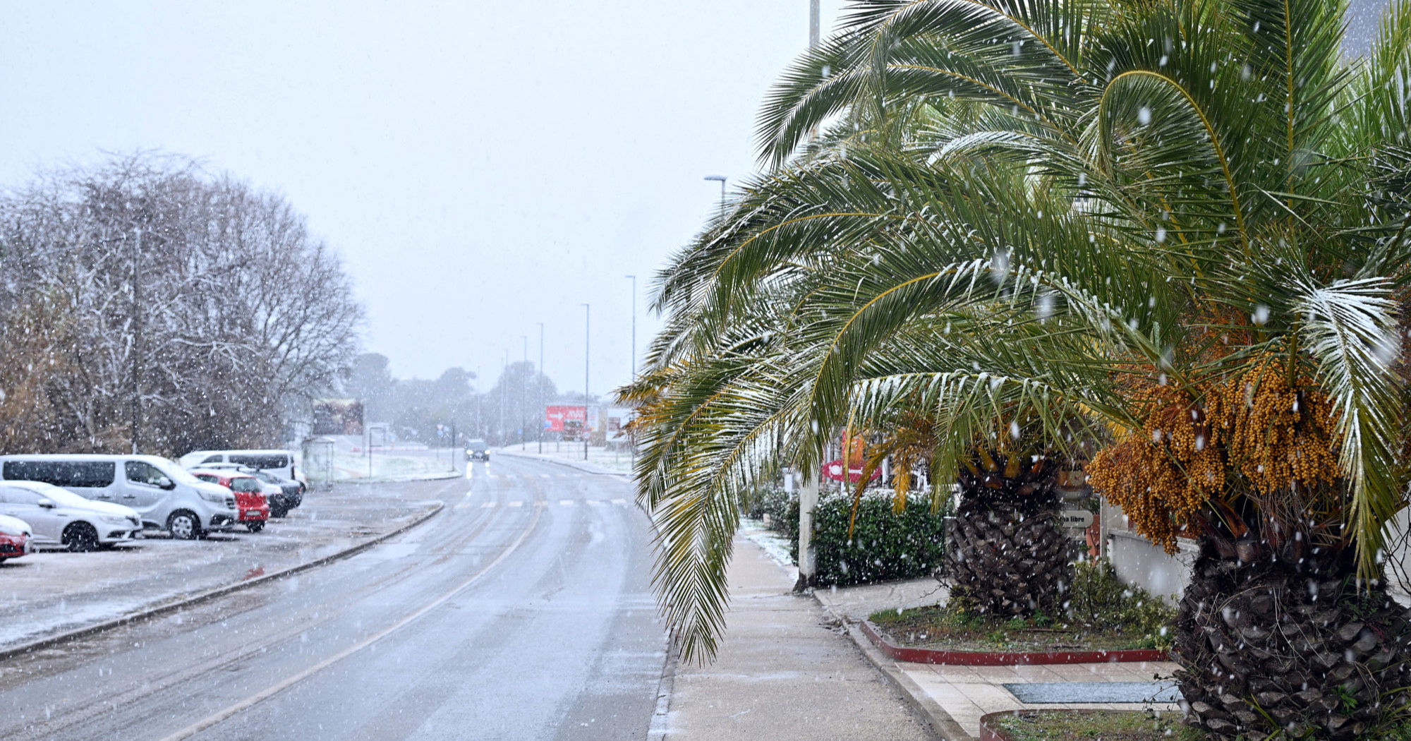 FOTO Snijeg zabijelio pulske palme i barke
